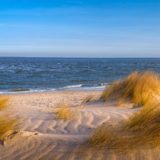 Dünen auf Sylt