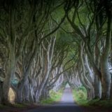 Dark Hedges Irland